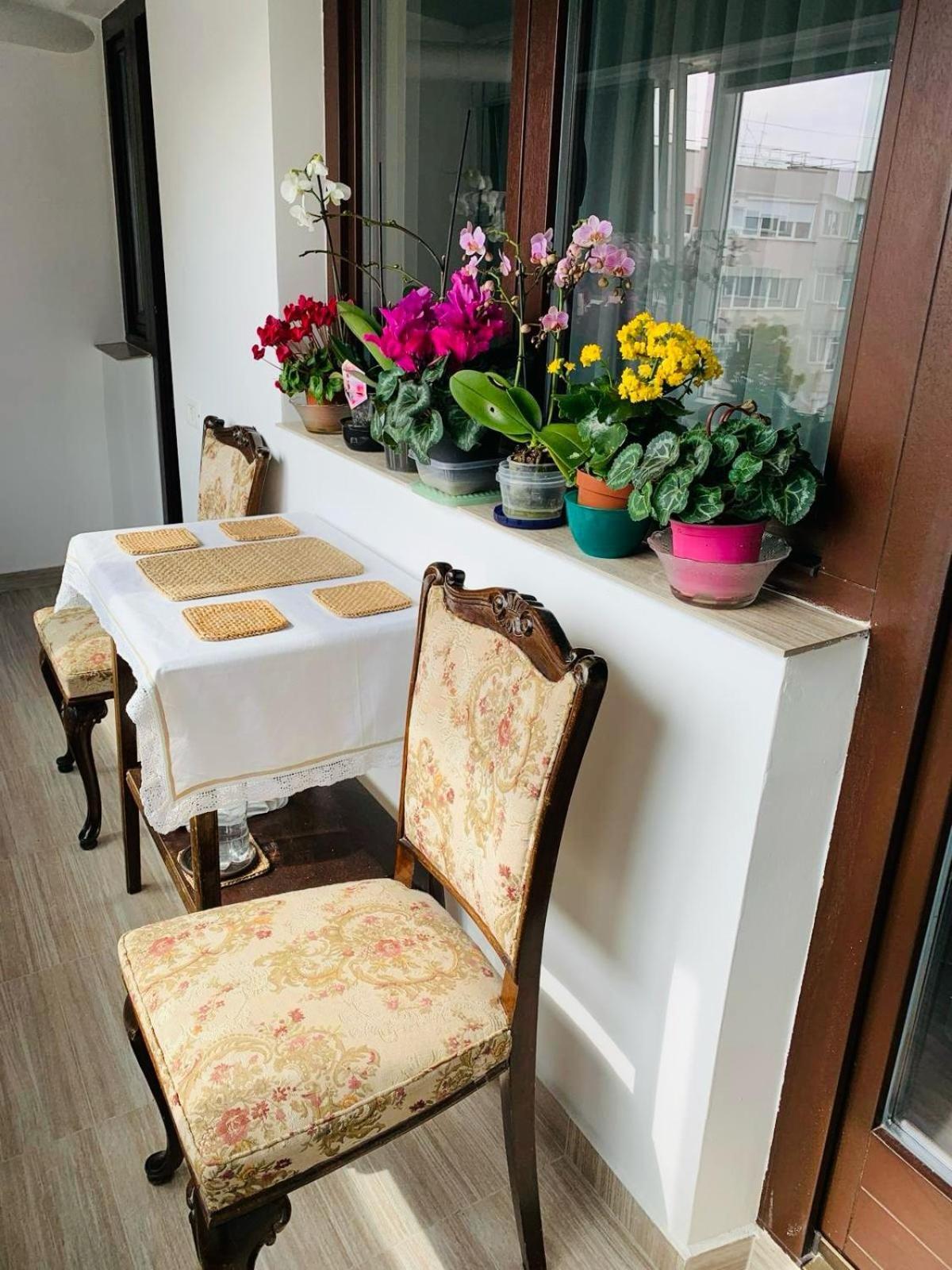 Sofiart Apartment Bucureşti Ngoại thất bức ảnh
